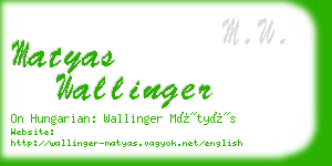 matyas wallinger business card